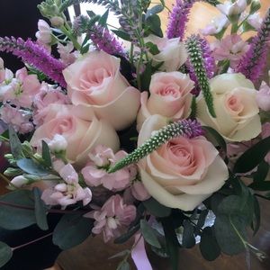 Meet your Posher, Lilian